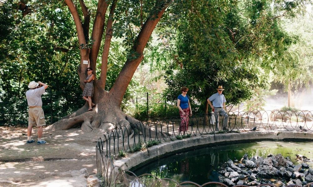 Πρωτοφανής επίθεση στον Εθνικό Κήπο: Τον χτύπησαν στο κεφάλι για ένα κινητό
